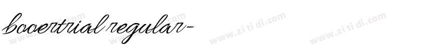 booertrial regular字体转换